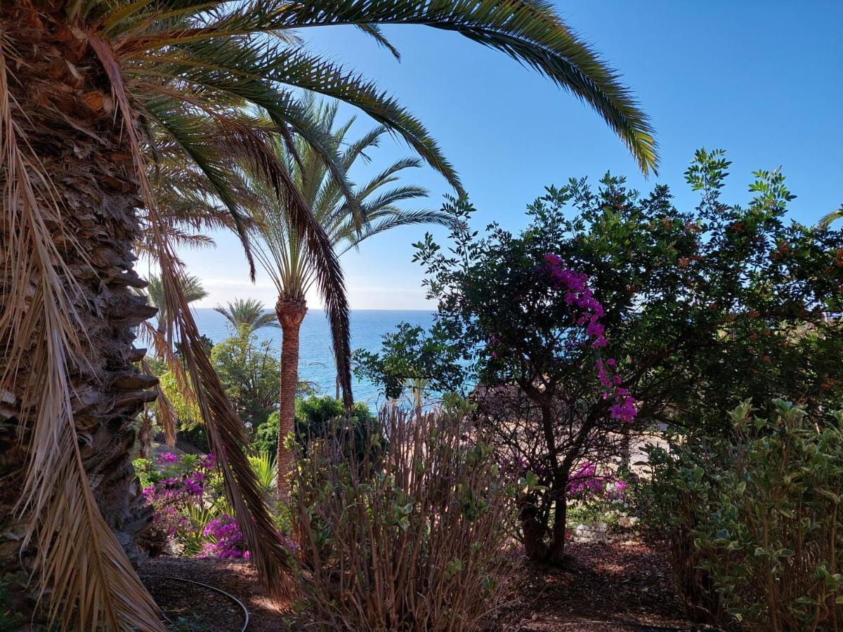 Estudio Espectacular Vista Mar Morro Jable  Exteriör bild